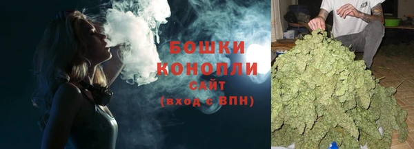 PSILOCYBIN Майский