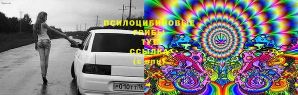 дурь Алексин