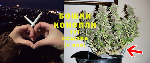 СК Лиски