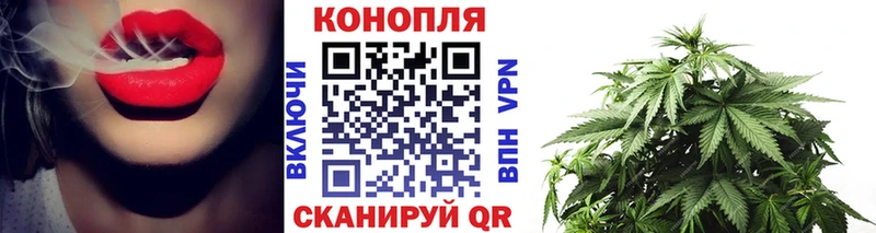 Купить закладки  Армавир  Канабис планчик 